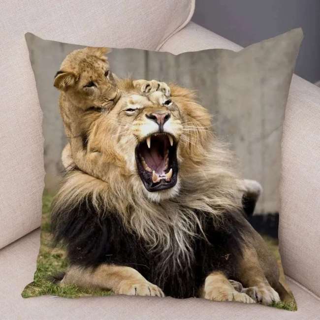 Dad And Cub Lion Cushion Cases
