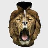 Roar Lion Hoodie