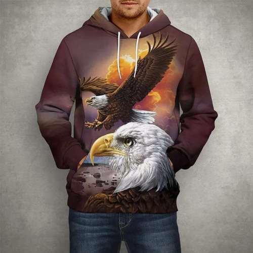American Eagle Mens Hoodie