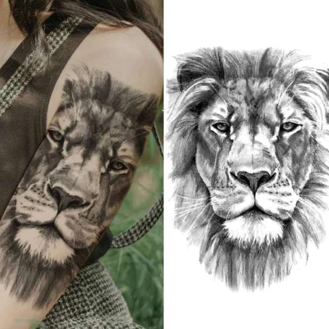 Lion Head Tattoo Designs