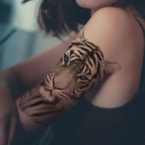 Tiger Tattoo Arm