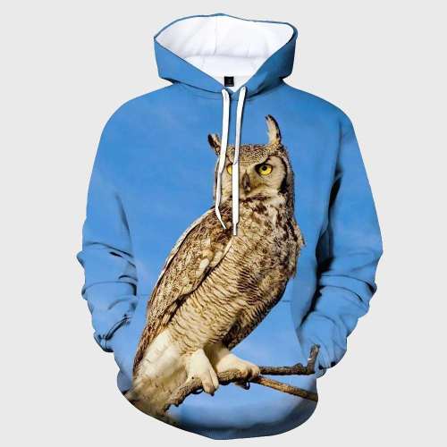 Blue Owl Hoodie