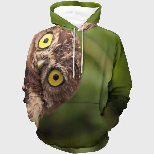 Cute Owl Hoodie
