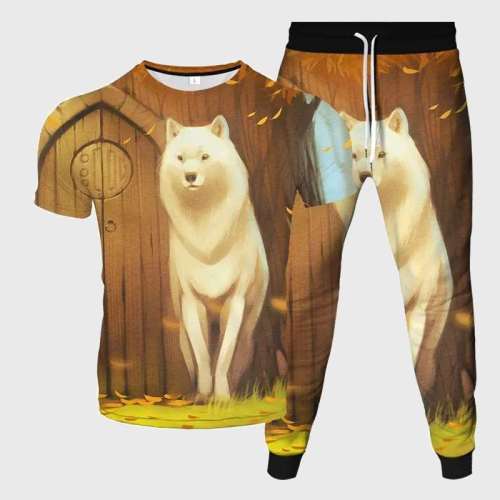 Cute Cartoon Wolf Shirt Pant Set