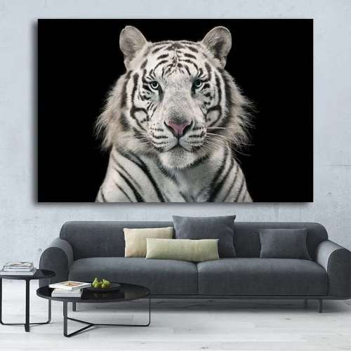 White Tiger Face Wall Art