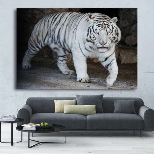 Gorgeous White Tiger Wall Art