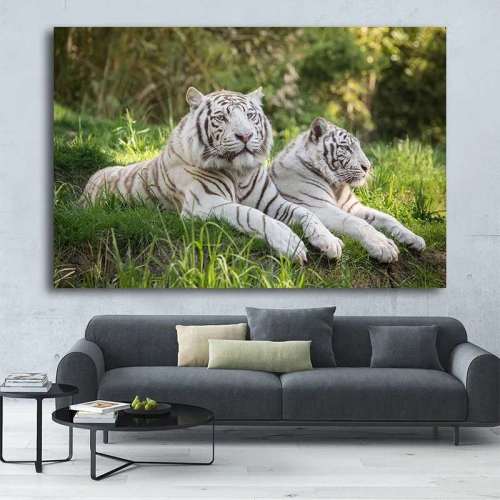 White Tiger Couples Wall Art