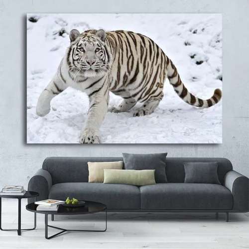 Playing White Tiger Wall Art