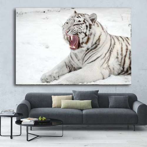 Sleepy White Tiger Wall Art