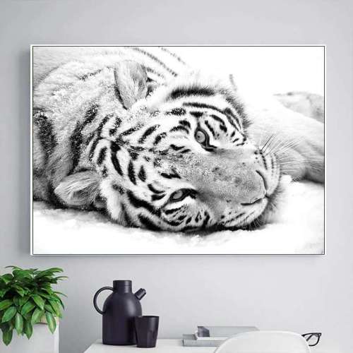 Black And White Tiger Wall Art