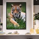 Living Room Tiger Wall Art