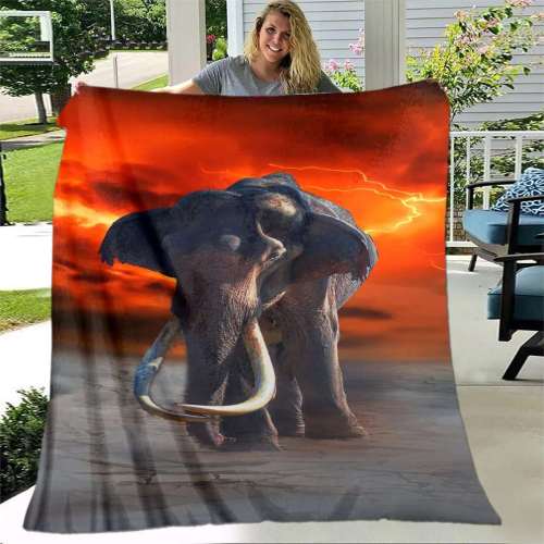 Couch Elephant Blanket
