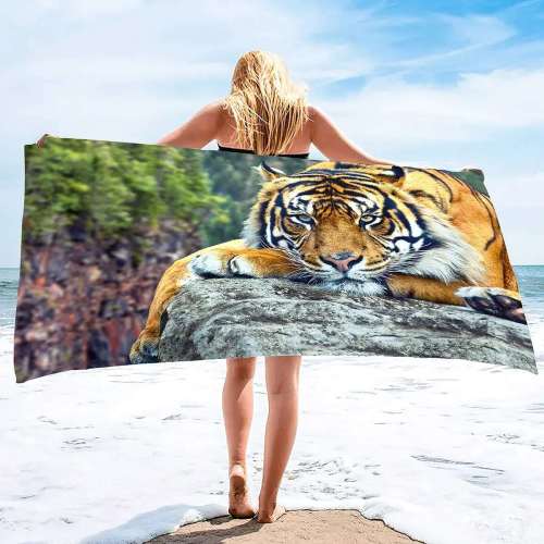 Sleepy Tiger Beach Towel