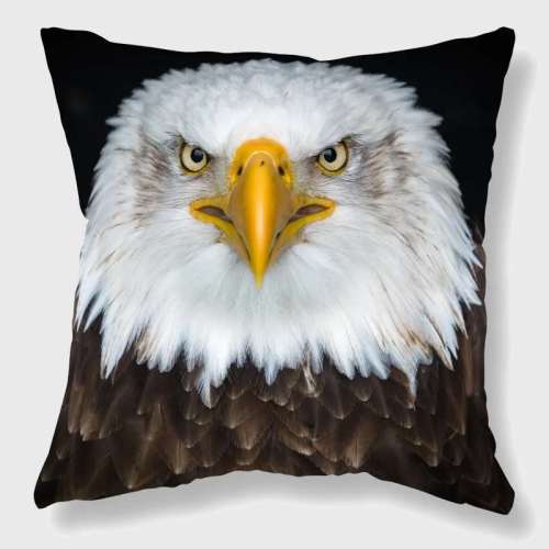 Eagle Decorative Pillow Cover