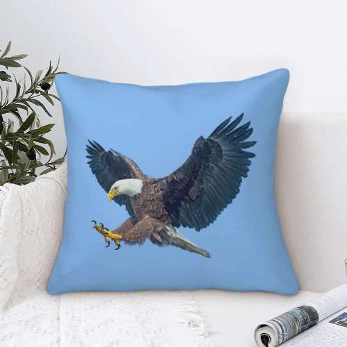 Blue Sky Eagle Cushion Covers