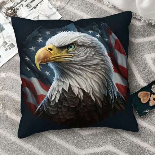 USA Flag Eagle Pillow Cover