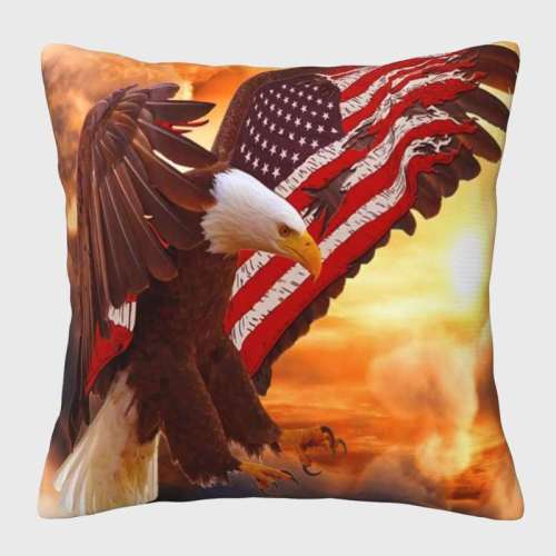 Modern Eagle Pillow Cover