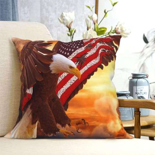 Modern Eagle Pillow Cover