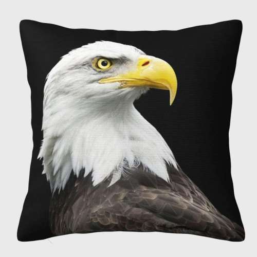 American Eagle Pillow Covers