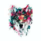 Watercolor Wolf Hat