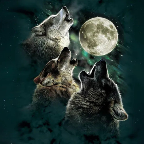 Three Wolf Moon Blanket