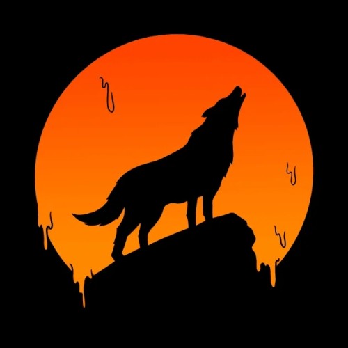 Howling Wolf Moon Blanket