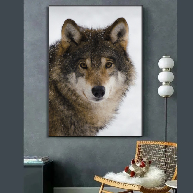 Grey Wolf Painting Art