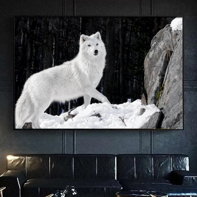Arctic Wolf Wall Art
