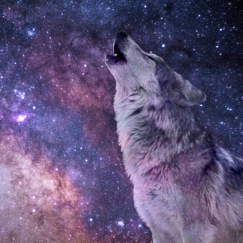 Wolf Galaxy Hoodie