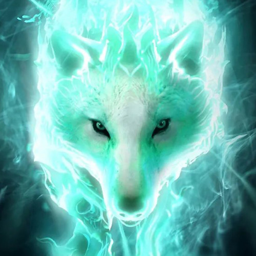 Flame Wolf Hoodie
