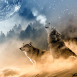 Wolf Cosmic Wall Art