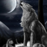 Wolf Howling Moon Wall Art