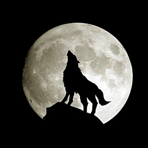 Howling Wolf Moon Hoodie