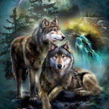 Wolf Lovers Blanket