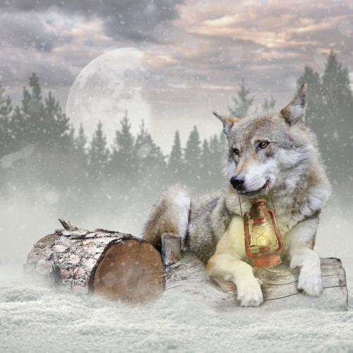 Christmas Wolf Hoodie