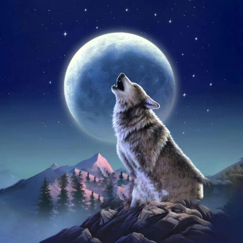 Wolf Howling At Moon Blanket
