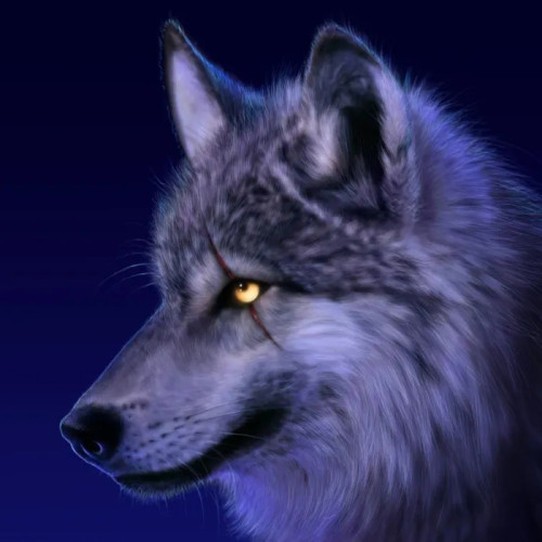 Scar Wolf Hoodie