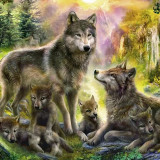 Wolf Family Painting Art