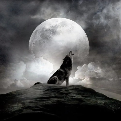 Wolf Howl Moon T-Shirt