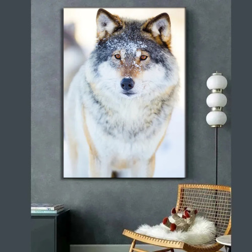 Wolf In Snow Wall Art