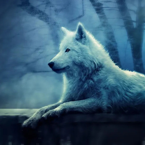 Mystical Wolf Hoodie