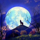 Moon Wolf Painting Art