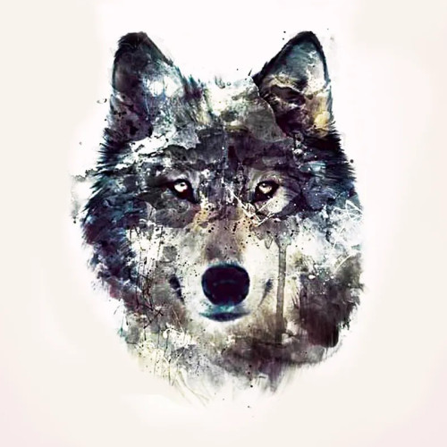 Wolf Painting T-Shirt