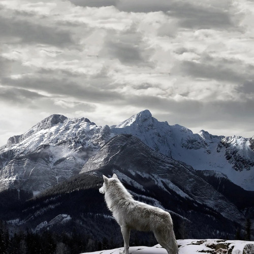 Winter Mountain Wolf Hoodie