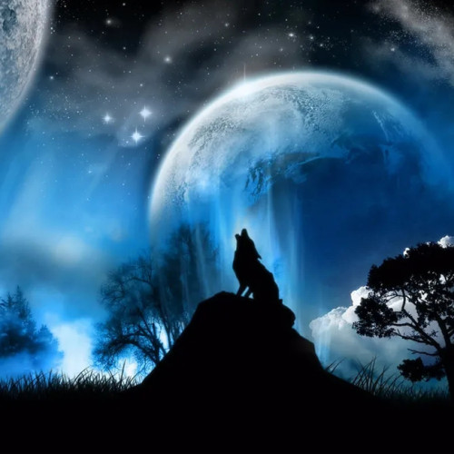 Fantasy World Wolf Hoodie