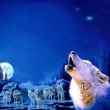 Wolf Packs Moon Painting Art