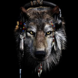 Native Wolf Painting Art