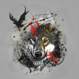 Wolf And Raven Painting Art