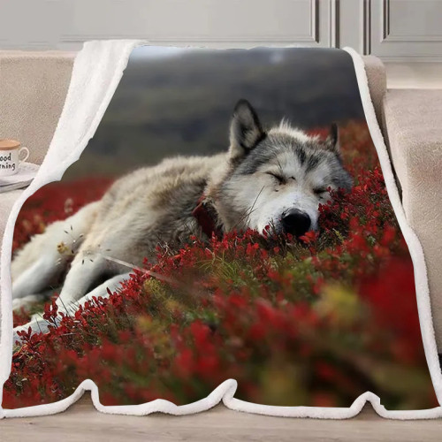 Lovely Wolf Blanket