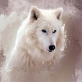 Mystical Arctic Wolf Painting Art